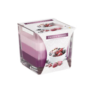 Bispol Svíčka ve skle SNK80/170g Frozen Berries (6/krt)
