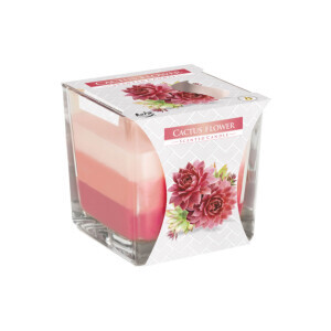 Bispol Svíčka ve skle SNK80/170g Cactus Flower (6/krt)