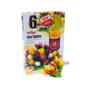 Admit Svíčka čajová 6ks Tulips (45/krt)