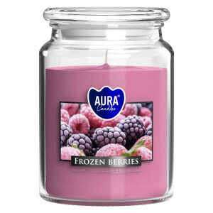 Bispol Svíčka v dóze SND99/500g frozen berries(6/krt)