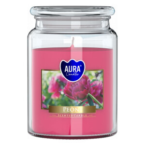 Bispol Svíčka v dóze SND99/500g peony (6/krt)