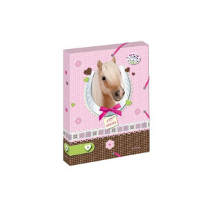 Herlitz Box na sešity A4 Pretty Pets Horse (18/krt)