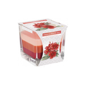 Bispol Svíčka ve skle SNK80/170g Hibiscus-white sage (6/krt)