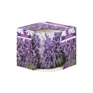 Bispol Svíčka ve skle SN71/100g Lavender (6/krt)