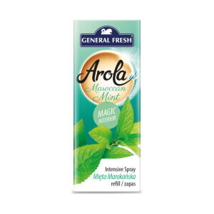 Arola 40ml Magic Interior NN Maroccan Mint (10/bal)