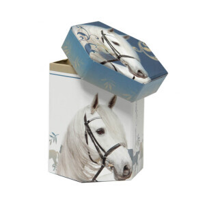 Argus Stojan na pera O Horses (12/krt)