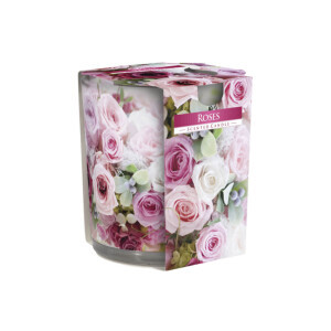 Bispol Svíčka ve skle SN72/100g Roses (6/krt)
