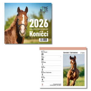 Atinemade Kalendář Koníčci (10/krt)