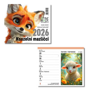 Atinemade Kalendář Kouzelní mazlíčči (10/krt)