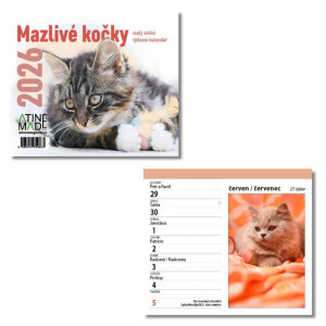 Atinemade Kalendář Mazlivé kočky (10/krt)