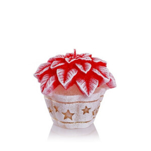 Bartek Svíčka Christmas Flower 80 Red (6/krt)