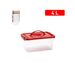 P.Forte Box plast s uchem 4l Color (12/bal)