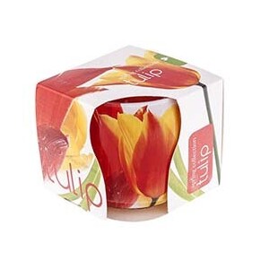 Admit Svíčka ve skle 100g Tulips (12/bal)