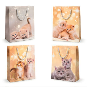 Dárková taška ''S'' (12/bal 720/krt)