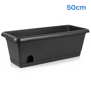 Truhlík Titanic 50cm 