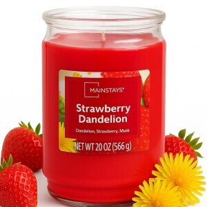 WM Main Svíčka ve skle 566g Strawberry Dadelion (5/krt)