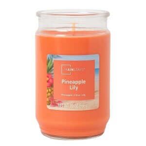 WM Main Svíčka ve skle 566g Pineapple Lily (5/krt)