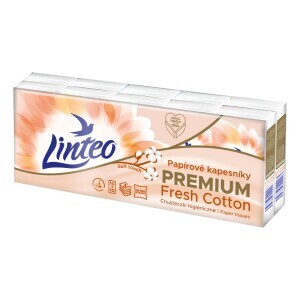 Linteo Papír.kapesníčky 10x10 4-vrstvý Natural (24/krt)