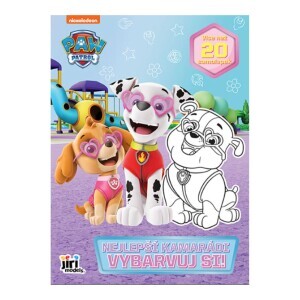Omalovánky Paw Patrols 4112 (100/krt)